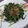 Cooksnap dari Debora Dwi untuk resep Plencing daun ubi jalar (brambang asem)