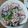 屋頂 的 薑絲鯛魚蛤蜊炒烏龍麵 cooksnap