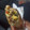 El cooksnap de Fer en la Cocina cuando hizo Relleno de carne picada para empanadas.
