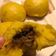 Cooksnap dari Jessie untuk resep Daging Babi Kecap (isian Pao / Cang)