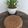 Cooksnap dari Ana Marshall untuk resep Chocolate Cotton Cake