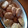 El cooksnap de María Florencia Galecio cuando hizo Galletitas de harina de garbanzos y chispas de chocolate 🥰.