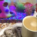 صورة من ام كريم my kitchen، شاركها بعد تجربة وصفة كب كيك بالتفاح
