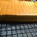 Cooksnap dari Royanilies untuk resep Chiffon Alpukat Cake