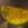 El cooksnap de Tamy Garcia cuando hizo Omelette.