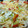 El cooksnap de Vero78 cuando hizo Fideos tipo Chino.