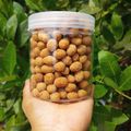 Cooksnap dari Harina Watty Tampubolon untuk resep Kacang Telor renyah
