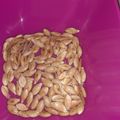 El cooksnap de Flor cuando hizo Semillas tostadas de calabaza (versión muy rápida y práctica).