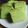 Cooksnap dari devi irmayanti untuk resep Ogura Cake Pandan Soft Moist ala Ci Tintinrayner