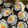 El cooksnap de @tesa.cuina cuando hizo Kaisen Maki (Maki de marisco).