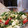 Jesse Haines's cooksnap of when they made tabbouleh.