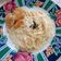 Cooksnap dari Meiryani untuk resep Spaghetti saus carbonara simpel
