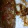 Cooksnap dari IQi QiuQiu untuk resep Pesmol ikan nila