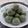 Chhaya Paradhi's cooksnap of when they made मुखवास, पुदिना गोळी (Mukhwas Pudina Goli Recipe In Marathi).