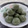 Chhaya Paradhi's cooksnap of when they made मुखवास, पुदिना गोळी (Mukhwas Pudina Goli Recipe In Marathi).