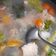 Cooksnap dari Lisna untuk resep Sop Ikan Patin Wortel Kuah Segar