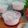 Cooksnap dari Ellaelloet untuk resep Korean Strawberry Milk