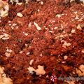 Cooksnap από marymyt στη συνταγή Νηστίσιμη τάρτα με κιμά σόγιας