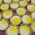Cooksnap dari Syarifah Noor Fajariani Putri untuk resep Puding cup sutera mangga jualan