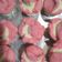 Cooksnap dari Nabil Ernandi untuk resep Bolu Kukus Mekar (Tanpa Soda)