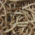 Cooksnap dari Sandra Hartas untuk resep Edam cheese stick