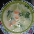 Cooksnap dari bakti bachtiar untuk resep Bobor bayam labu siam🍵