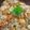 Bina Mithani's cooksnap of when they made વર્મીસેલી ઉપમા(Vermicelli Upma Recipe In Gujarati).