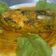 Cooksnap dari Ruden Sihol Purba untuk resep Gulai Ikan Tenggiri