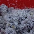 Cooksnap dari Abdul Roup untuk resep Klepon Ubi Ungu (Simple tepung terigu & tapioka, takaran sendok)