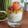 Kristina K's cooksnap of when they made Cup Sushi.