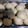 Cooksnap dari ardis untuk resep Bakpao