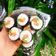 Cooksnap của Hieu Mai khi họ làm theo món Cơm cuộn rong biển
