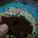 Cooksnap dari Inury Kitchen || °Ria° untuk resep Bolu coklat kurma kukus