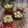 Cooksnap dari Siswaty Elfin Bachtiar untuk resep Marshmallow Homemade / Takir Pita