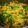 Samu Ganesan's cooksnap of when they made கடலைப் பருப்பு சாம்பார்(kadalai paruppu sambar recipe in tamil).