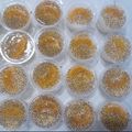 Cooksnap dari cook_108152024 untuk resep Puding Sutra Nutrijel Jeruk