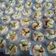 Cooksnap dari Retno Waty untuk resep 60. Carang Gesing