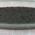El cooksnap de Joanna Krämer cuando hizo Crema de chocolate (Maicena).