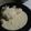 El cooksnap de Marcelo TDF cuando hizo Filetes de contramuslo de pollo con Salsa de Queso azul.