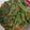 Cooksnap dari Iis Kartika²¹ untuk resep Tumis kangkung Terasi