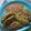 Bibhasini Patra's cooksnap of when they made Veg Pan Fried Momos.
