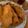 Cooksnap dari Novie Nurhasanah untuk resep Pisang Goreng Legit Kriuk