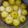 Linima Chudgar's cooksnap of when they made આંબળા નો મુરબ્બો (Gooseberry Murabba Recipe In Gujarati).