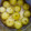 Linima Chudgar's cooksnap of when they made આંબળા નો મુરબ્બો (Gooseberry Murabba Recipe In Gujarati).