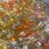 Cooksnap dari Rani Kecill untuk resep Sup jagung