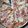 Cooksnap dari eHa untuk resep Pizza enak empuk...simple