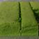 Cooksnap dari Gave Bunda Zidan untuk resep Ogura Cake Pandan