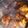 megan.mobley1's cooksnap of when they made Simple and Easy Chicken Adobo (Adobong Manok).