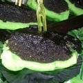Cooksnap dari Herlina Ika kertanti untuk resep Brownies kukus coklat sarikaya pandan