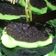 Cooksnap dari Herlina Ika kertanti untuk resep Brownies kukus coklat sarikaya pandan